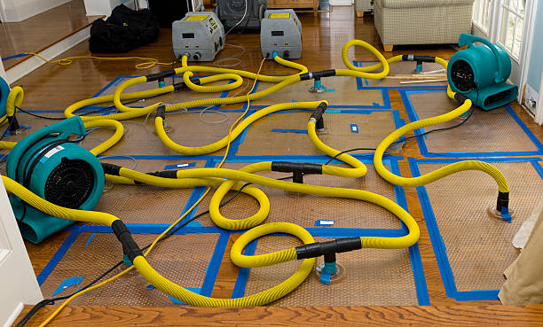 Professional Crawl Space Water Removal technician working in Dassel, MN